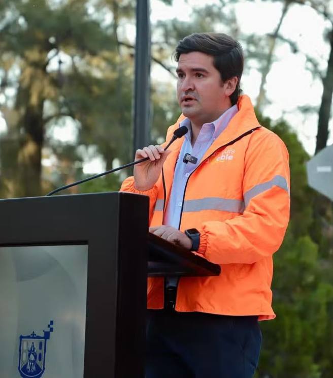 EN AVENIDA DEL&nbsp; SAUCE SE DERECTA PODA DEL ARBOLADO URBANO NO&nbsp;AUTORIZADA