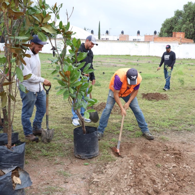 SE SUMAN 100 ÁRBOLES SEMBRADOS EN LAS JULIAS AL PROGRAMA DE REFOREDTACIÓN DE LA&nbsp;CAPITAL