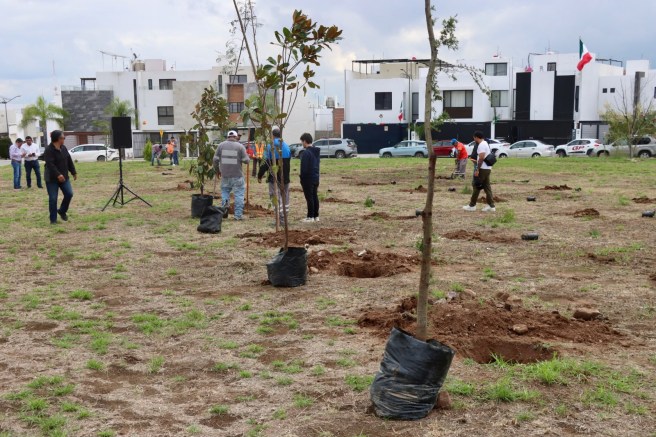 CAPITAL AL 100 EN VILLA MAGNA CON REFORESTACIÓN Y MANTENIMIENTO&nbsp;URBANO