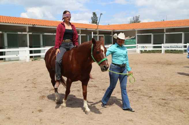 SSAN LUIS POTOSÍ FUE LA SEDEDE LA QUINTA GENERACIÓN DE ESPECIALISTAS EN&nbsp;EQUINOTERAPIA