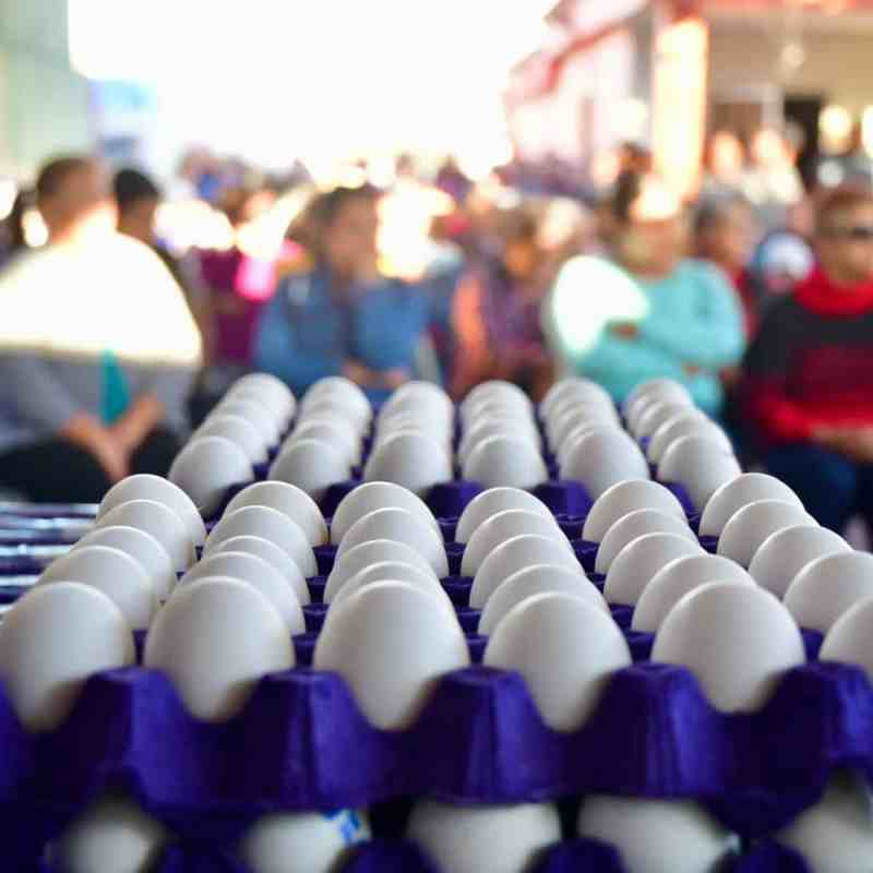 SAN LUIS POTOSÍ QUINTO LUGAR NACIONAL EN PRODUCCIÓN DE&nbsp;HUEVO