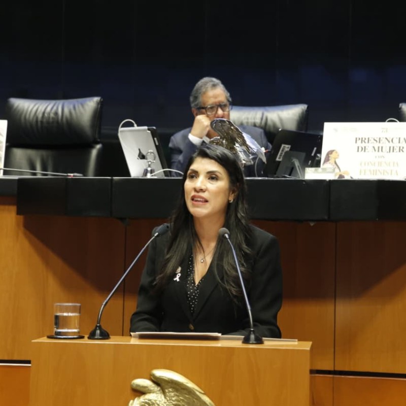 DESDE EL SENADO EXIGE VERO RODRÍGUEZ&nbsp; SE INVESTIGUE POSIBLE USO DE RECURSOS PÚBLICOS PARA BENEFICIAR AL PARTIDO VERDE EN&nbsp;SLP