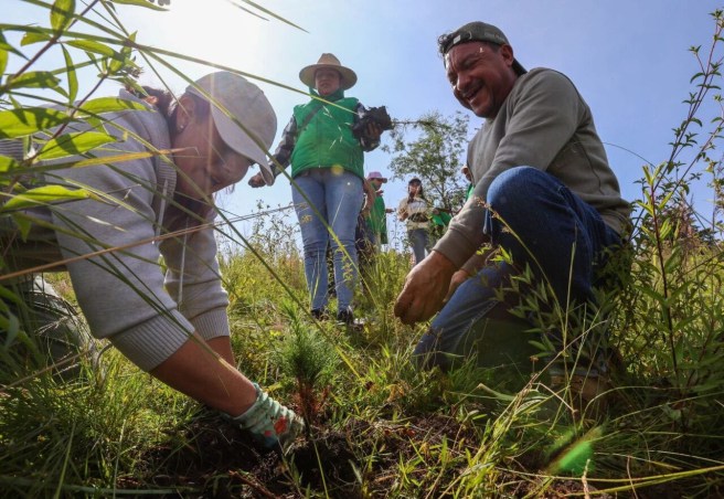 SAN LUIS POTOSÍ PARTICIPA EN PROYECTO DE RESTAURACIÓN AMBIENTAL CON OTRAS SIETE&nbsp;ENTIDADES
