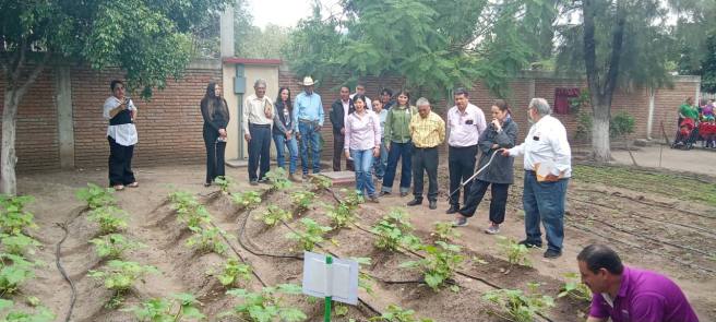 SEDARH LLEVA HUERTOS ESCOLARES Y CAPTACIÓN DE LLUVIA A LA REGIÓN&nbsp;MEDIA
