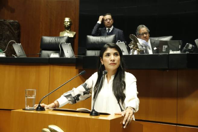 «EL COCHINERO DE MORENA PROVOCÓ LA CRISIS DEL INE»: VERO&nbsp;RODRÍGUEZ