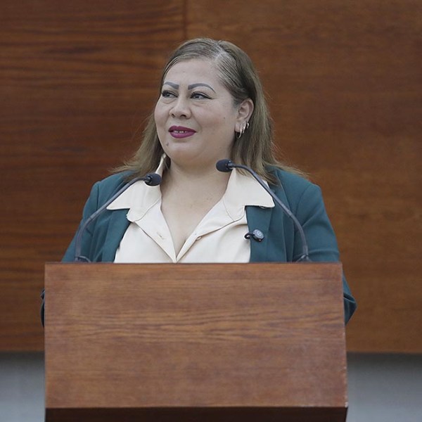 PROPONE DIPUTADA JACQUELINN JÁUREGUI MENDOZA QUE SE REVISEN A FONDO ESTACIONAMIENTOS PÚBLICOS Y PRIVADOS EN LA CAPITAL&nbsp;POTOSINA