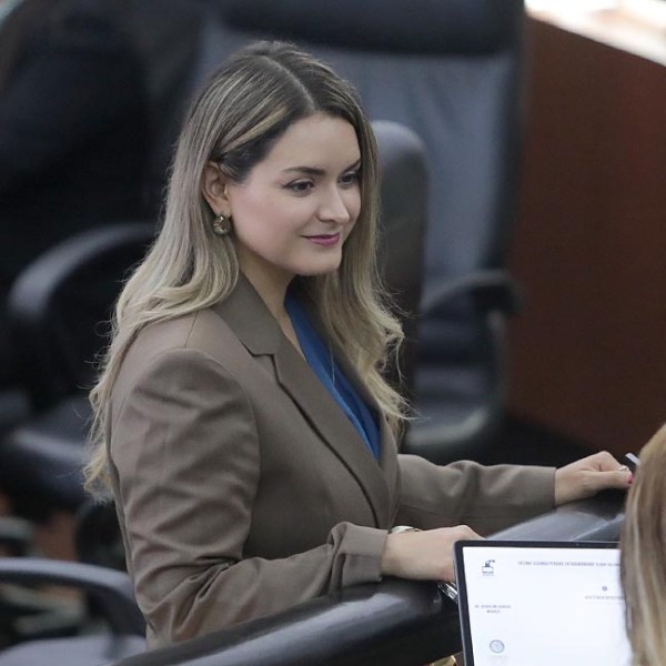 DIPUTADA QUIERE&nbsp; UN PRESUPUESTO EQUILIBRADO PARA SAN LUIS POTOSÍ EN&nbsp;2027